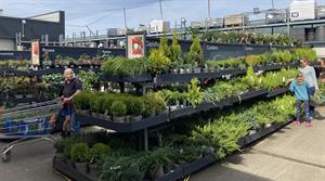 B&Q